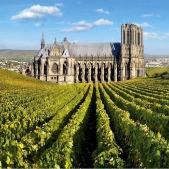 Cathédrale-Notre-Dame-Reims.jpg Cathédrale-Reims-Champagne-Vignes
