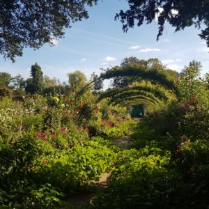 Les Jardin de Monet
