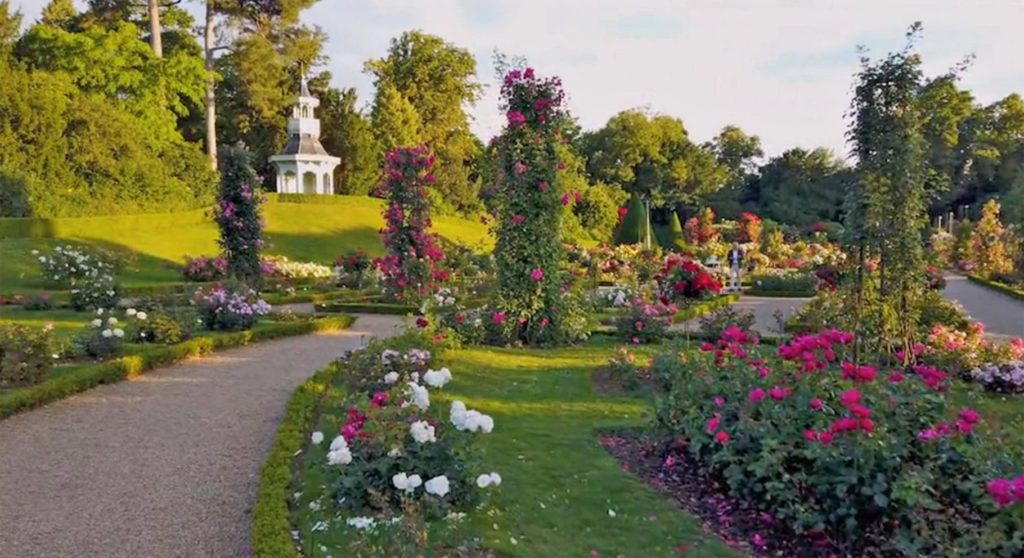 Nature et patrimoine – Balade fleurie